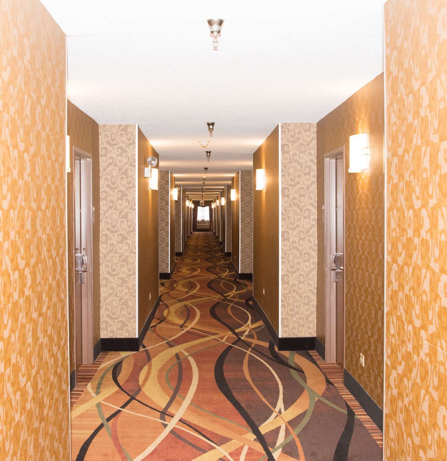 Best Western Des Plaines O'Hare Εξωτερικό φωτογραφία
